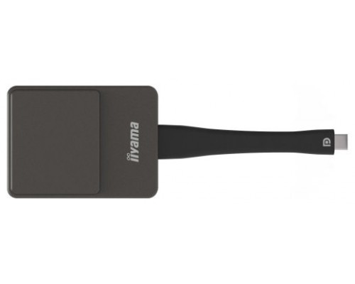 iiyama WP D002C adaptador Smart TV USB 4K Ultra HD Negro, Plata (Espera 4 dias)